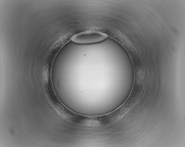 X0000116290644200911301419