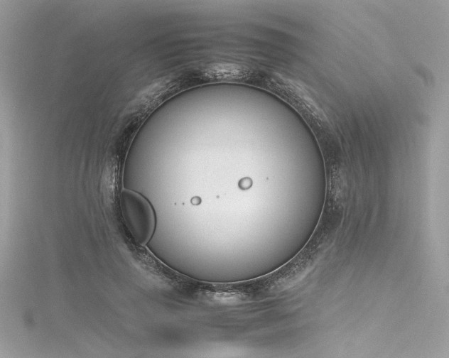 X0000116290645200911301419