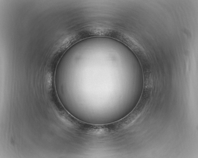 X0000116290646200911301419