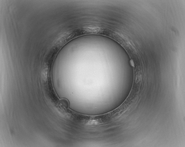 X0000116290647200911301419