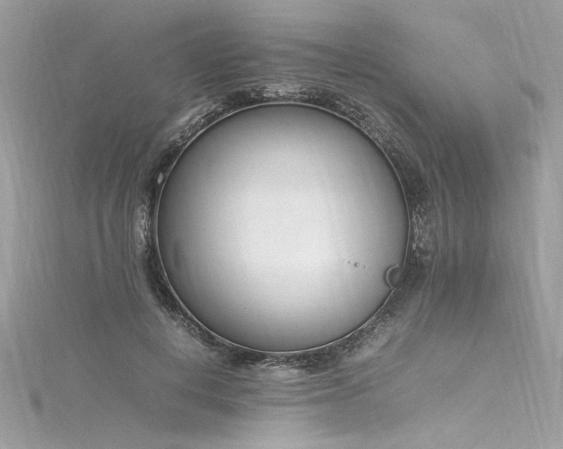 X0000116290648200911301419