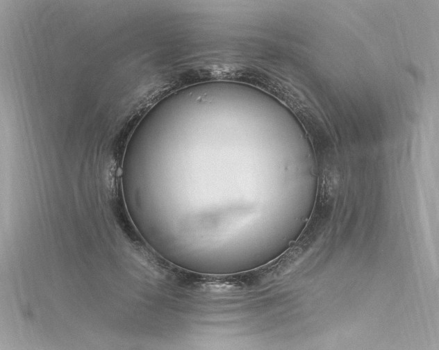 X0000116290650200911301419