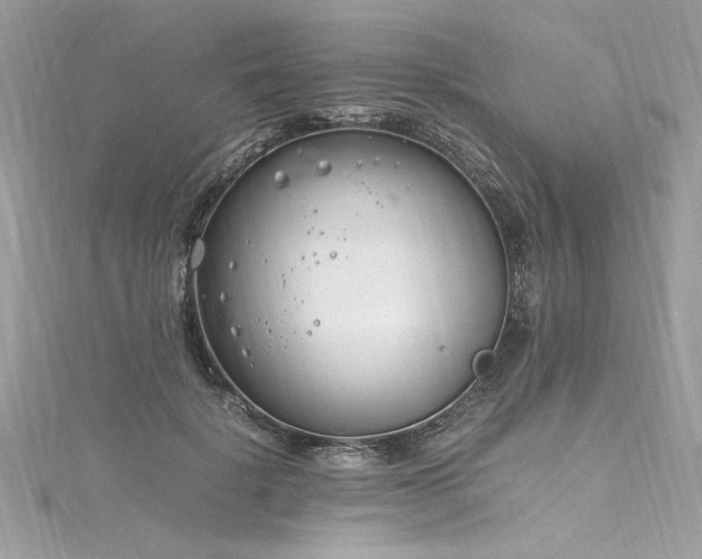 X0000116290652200911301420