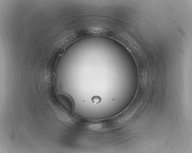 X0000116290653200911301420