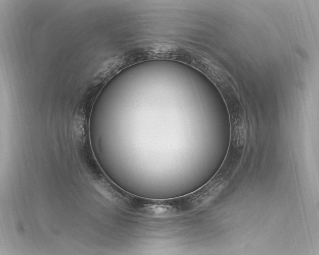 X0000116290654200911301420