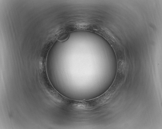 X0000116290655200911301420