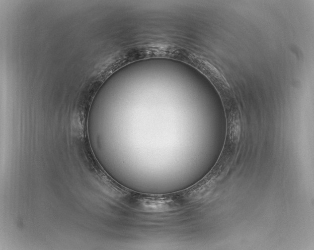 X0000116290661200911301420