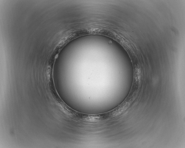 X0000116290664200911301420