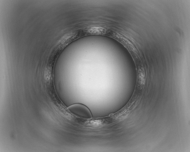 X0000116290665200911301420