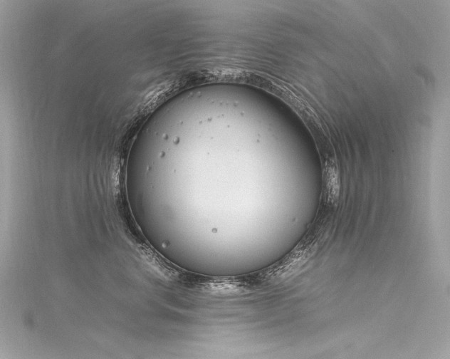 X0000116290668200911301420