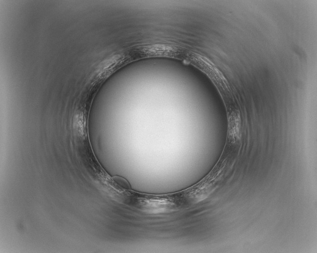 X0000116290669200911301420