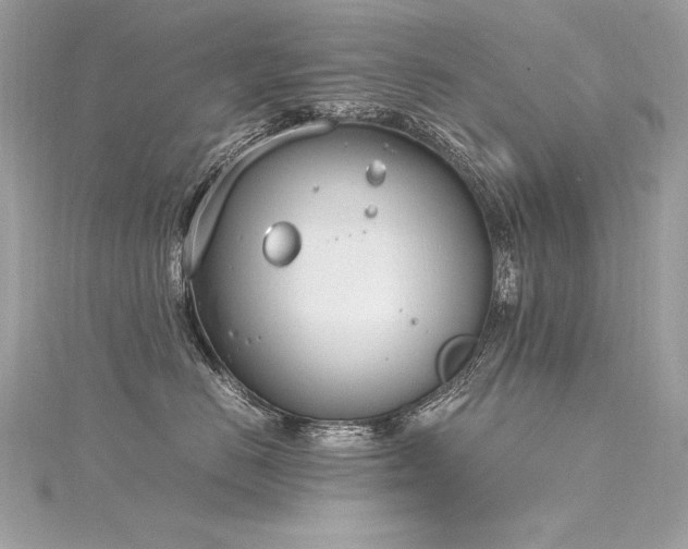 X0000116290670200911301420