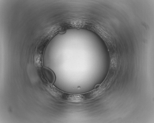 X0000116290671200911301420