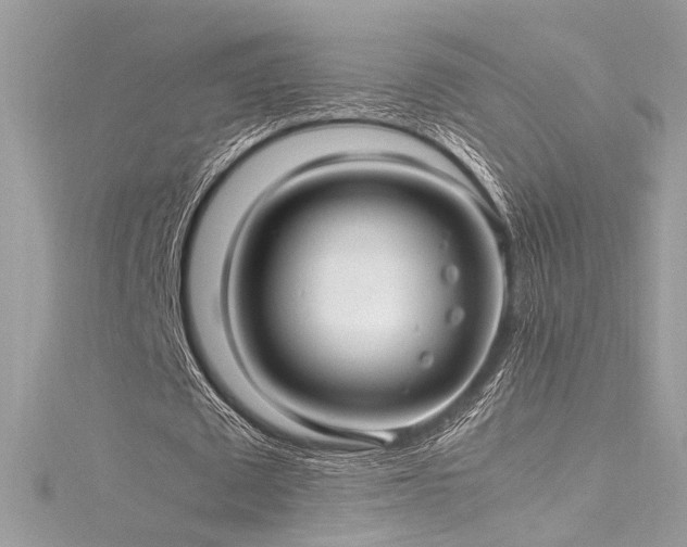 X0000116290673200911301419