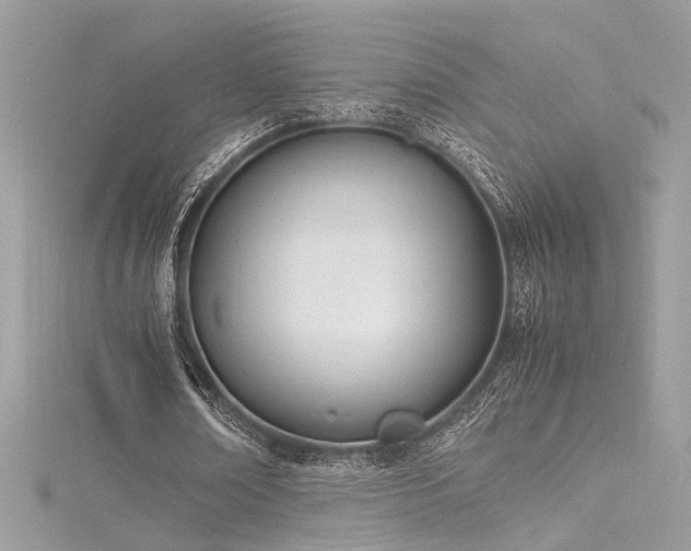 X0000116290674200911301419