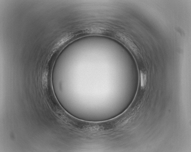 X0000116290675200911301419