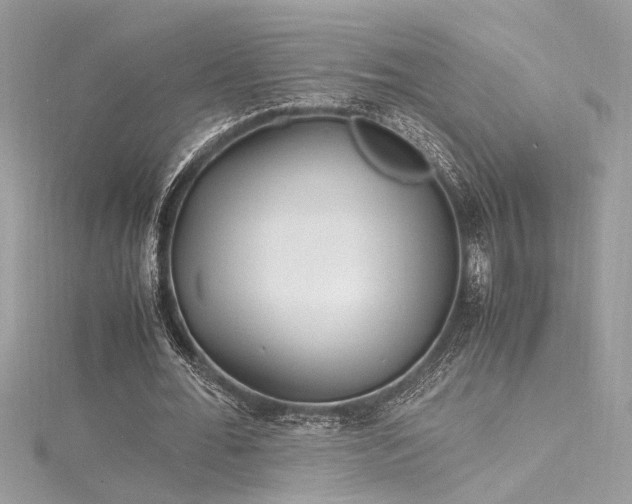 X0000116290676200911301419