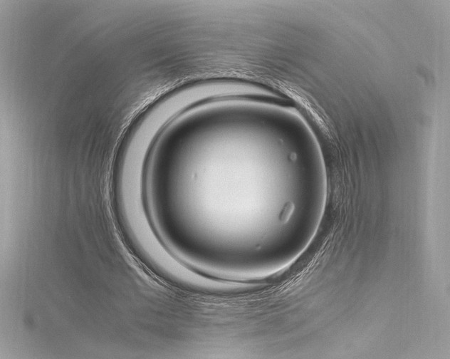 X0000116290677200911301419