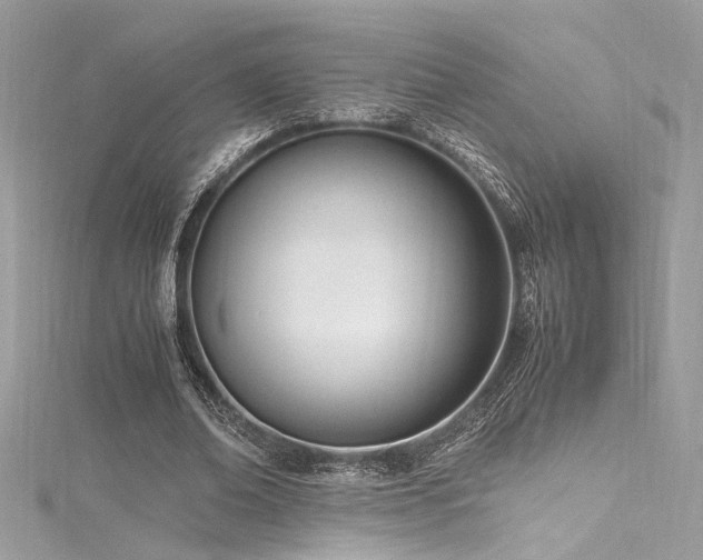 X0000116290678200911301419