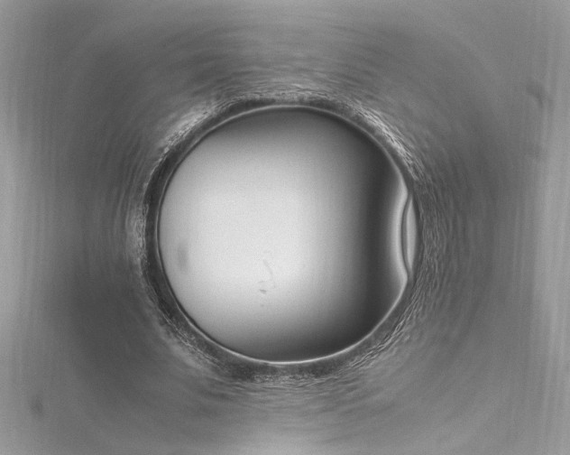 X0000116290679200911301419