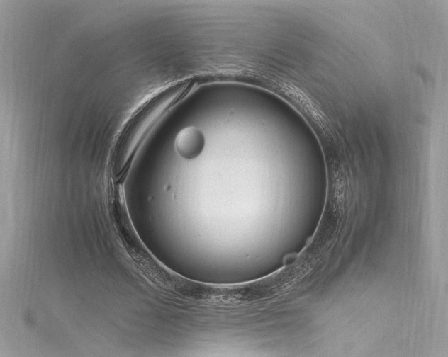 X0000116290680200911301419