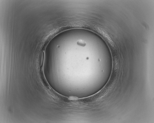 X0000116290681200911301419