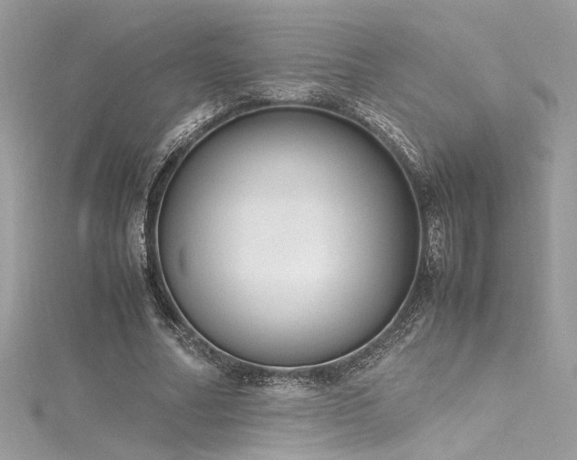 X0000116290682200911301419