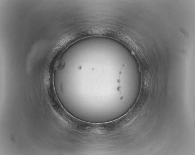 X0000116290683200911301419