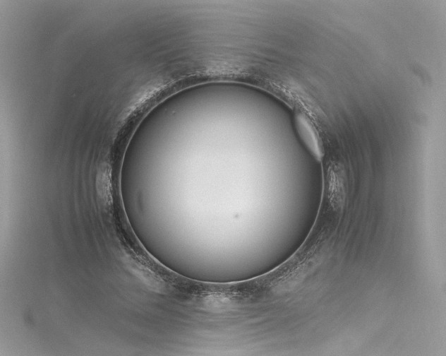 X0000116290684200911301419