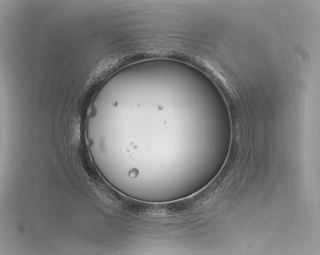 X0000116290685200911301419