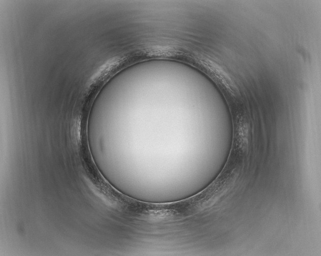 X0000116290686200911301419