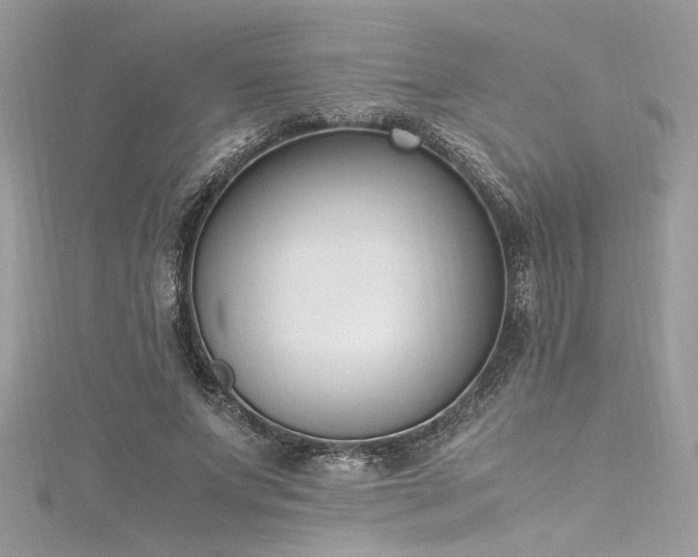 X0000116290687200911301419