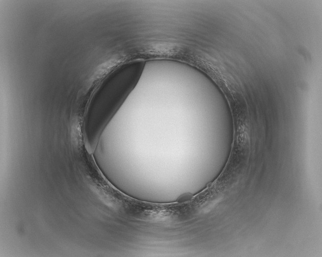 X0000116290688200911301419