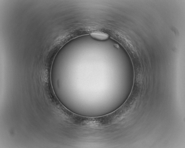 X0000116290689200911301419