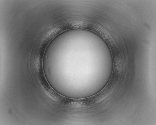 X0000116290690200911301419