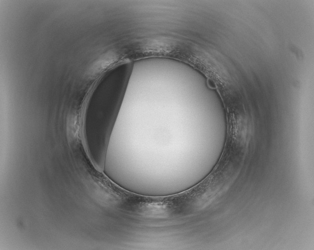 X0000116290692200911301419