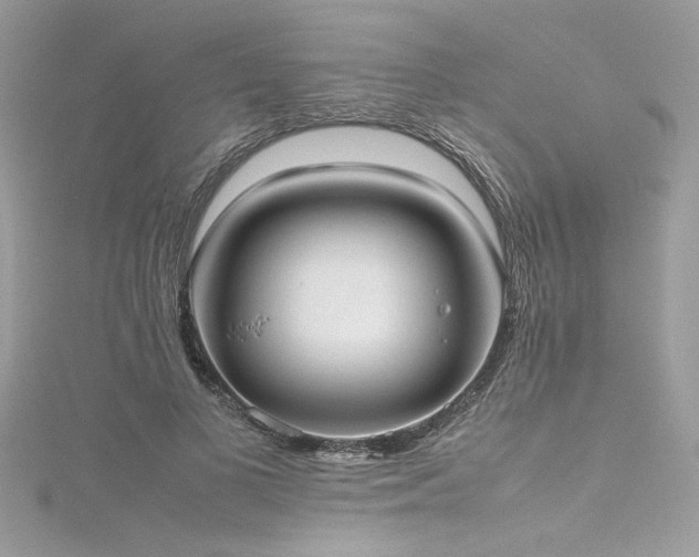 X0000116290693200911301419