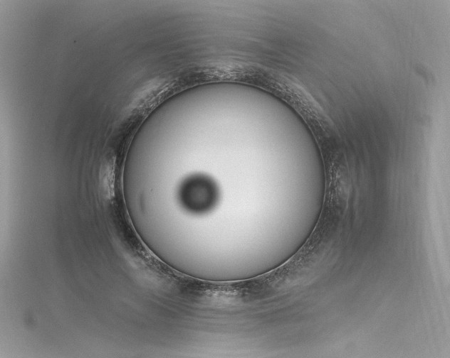 X0000116290694200911301419