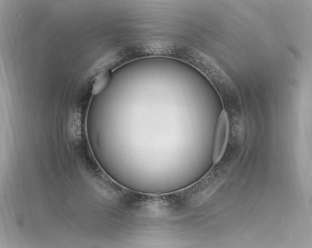 X0000116290696200911301419