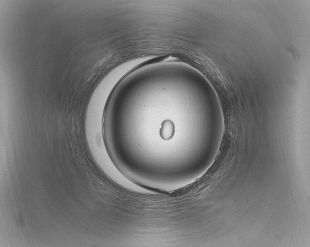 X0000116290697200911301419