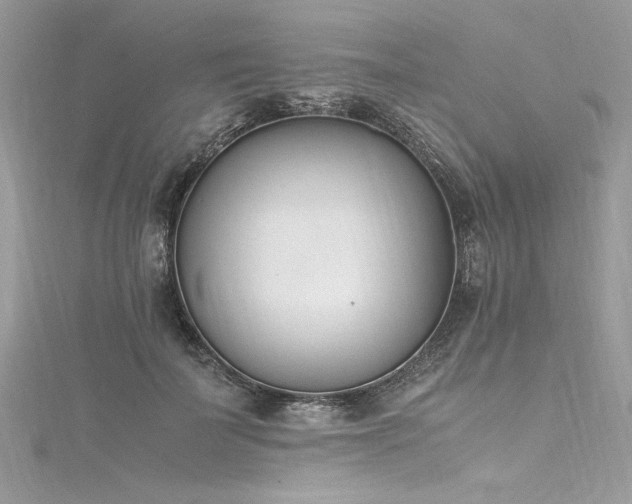 X0000116290699200911301419