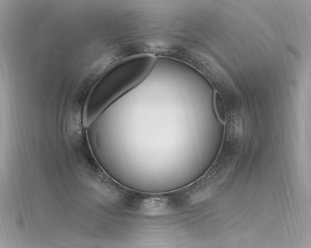 X0000116290700200911301419