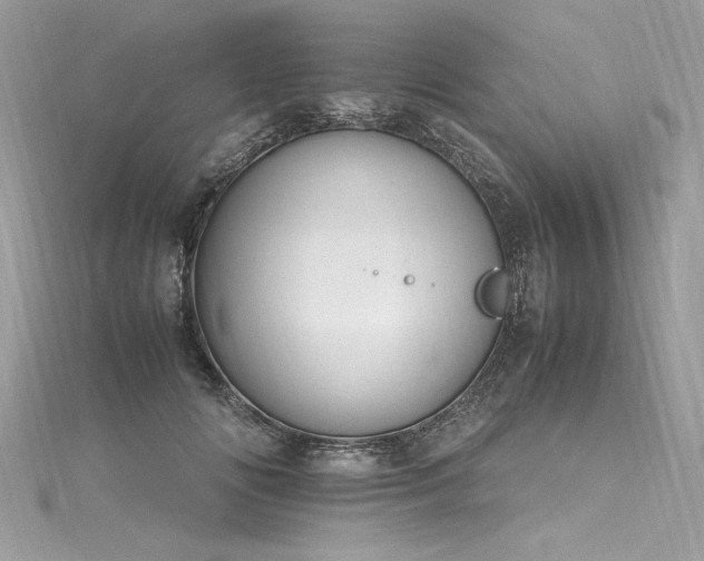 X0000116290702200911301419