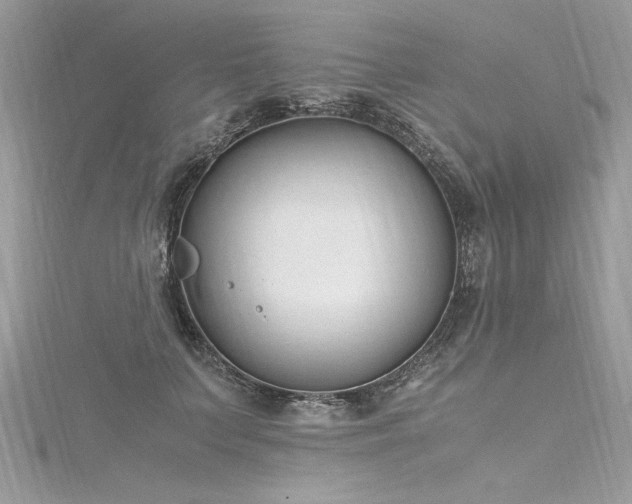 X0000116290703200911301419