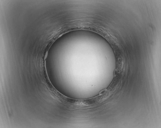 X0000116290704200911301419