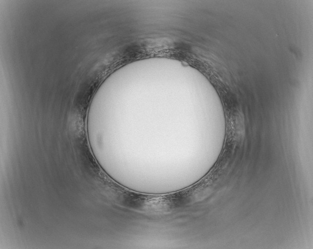 X0000116290705200911301419