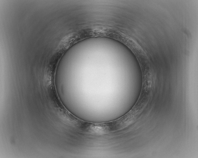 X0000116290706200911301419