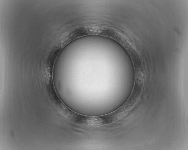 X0000116290707200911301419