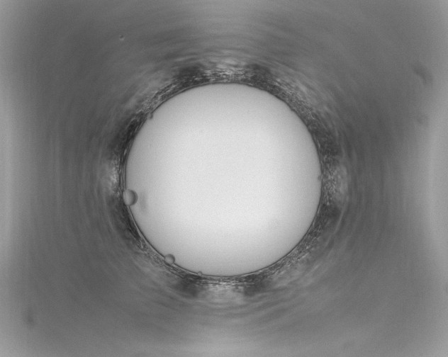 X0000116290709200911301419