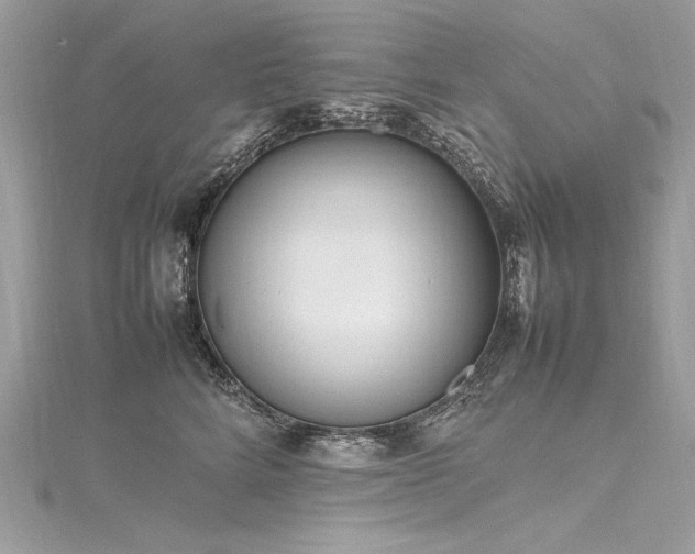 X0000116290712200911301419